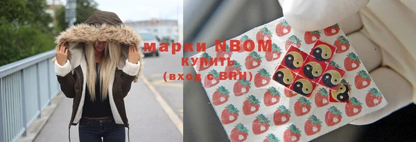 ешки Алексин