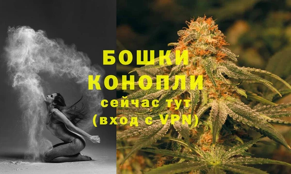 амф Аркадак