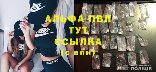 ешки Алексин