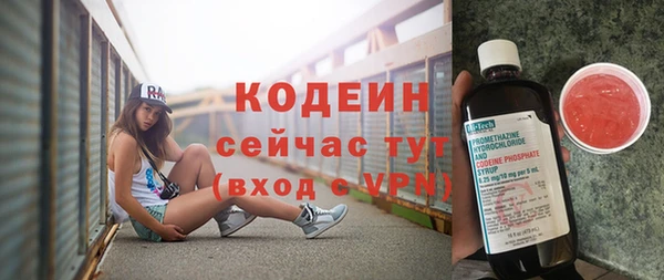 не бодяженный Снежногорск