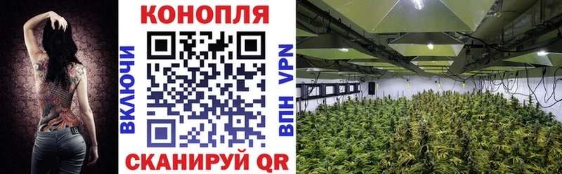 Конопля марихуана  магазин    Лаишево 